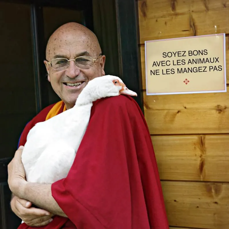 Matthieu Ricard